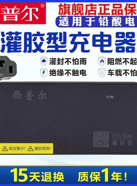 西普尔电动车充电器72V20AH铅酸32ah电瓶60三轮48伏3安4A灌胶防雨