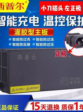 适用于新大洲电动车充电器哈罗60v20ah小鸟72v32ah比德文立马新蕾