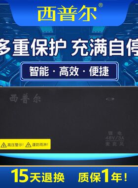 西普尔锂电池电动车充电器48v12ah雅迪20ah新日60v台铃546v714v