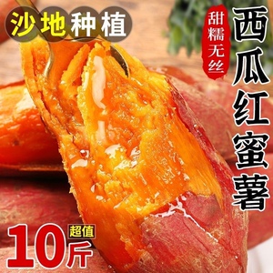 超甜沙地蜜薯新鲜红薯黄心板栗薯糖心番薯红心西瓜红山芋地瓜蔬菜