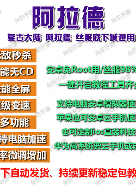 阿拉德之怒科技辅助飞机