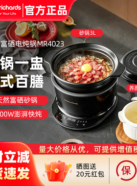 摩飞电炖锅电砂锅药膳富硒砂锅