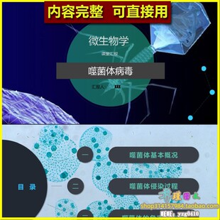 噬菌体病毒微生物学习成果汇报PPT模板 基本概况侵染过程危害应用