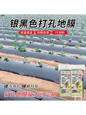 园艺塑料打孔地膜PE园林农用银黑塑料布防草保温保湿薄膜地布