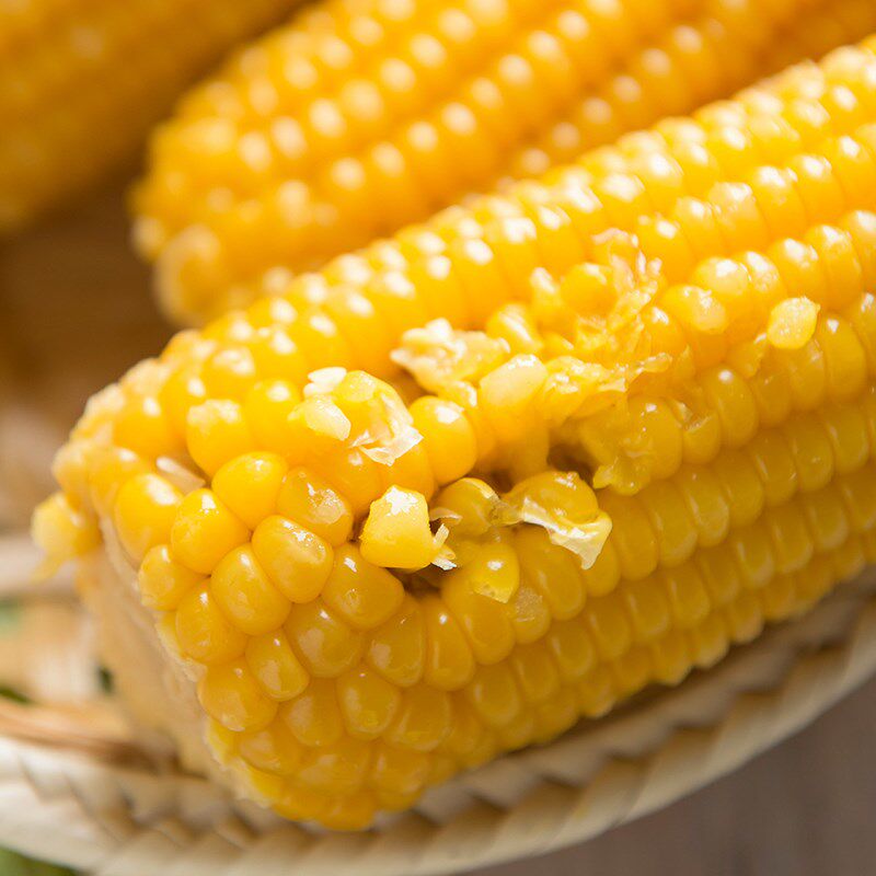 Yellow corn 10 stick fresh Sweet glutinous rice Corn Stick Nutrition Coarse grains breakfast Waxy maize Non-GMin the Agri rice/Dried foods/Condiment , Meter/Flour/Grains , Corn  category - from Buy2taobao.com to provide professional Taobao agent buy service