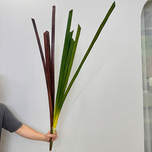 仿真剑叶PU5片齐头剑叶艺术插花花艺设计花材条状叶材造景绿植