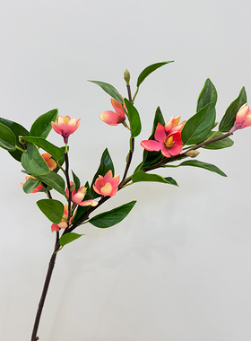 仿真玉兰花枝含笑花 插花造景花材花艺客厅餐桌花艺绢花装饰花