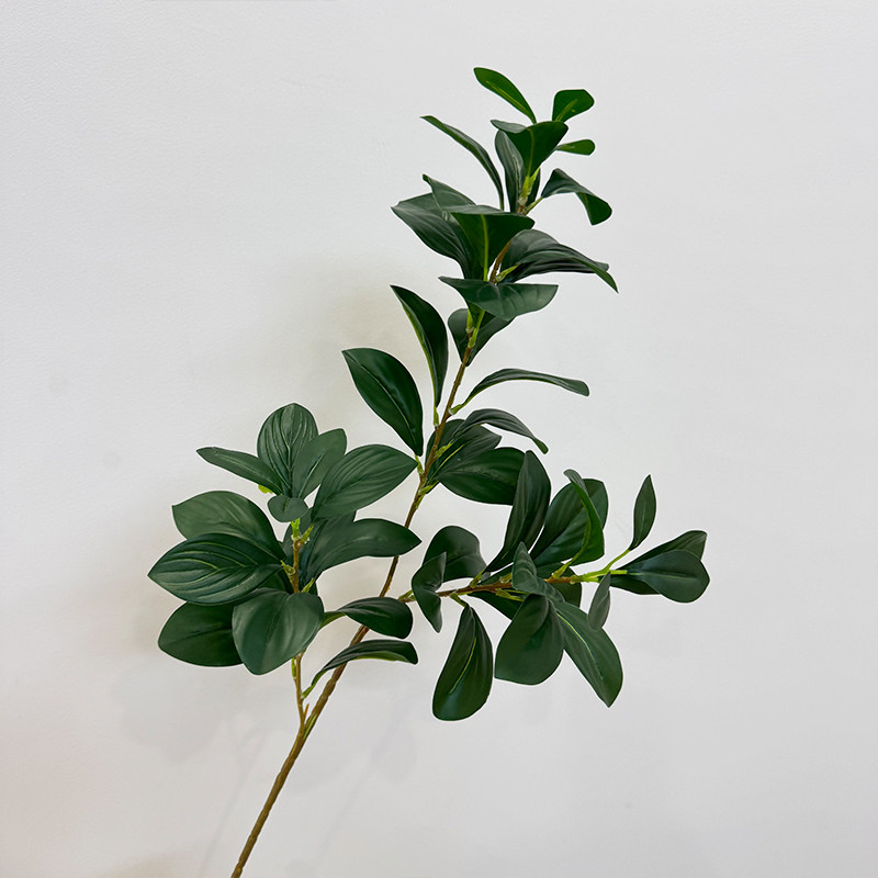 仿真豆瓣叶单支心叶榕花榕树枝假花桉树叶插花造景摆件道具假树叶