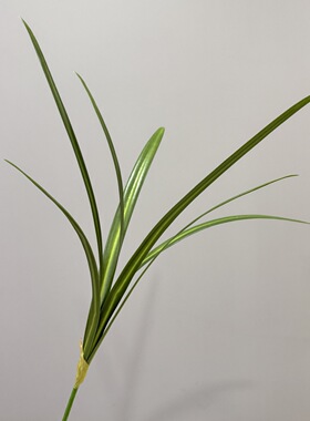 仿真惠兰叶手感君子兰叶蕙兰叶假花兰花叶蝴蝶兰叶装饰花花艺叶材
