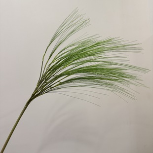 仿真喷泉草下垂假花马尾松装饰花芦苇狗尾草插花花艺造型造景