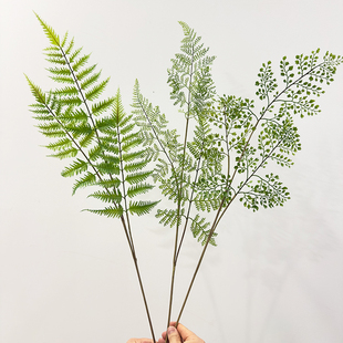 高品质仿真绿植齿蕨叶小芒萁蕨叶羊齿黑骨芒文竹叶蕨类植物摆件