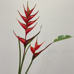 手感蝎尾焦小彩峰虫天堂鸟仿真花绿植富贵鸟发财假鹤望兰插花装饰