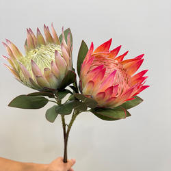 南非帝王花长寿花公主花仿真花橱窗美陈艺术插花摆件热带造景植物