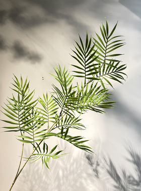 仿真棕榈叶 散尾葵 样板间绿植叶子摄影道具椰子树叶北欧绿植造景