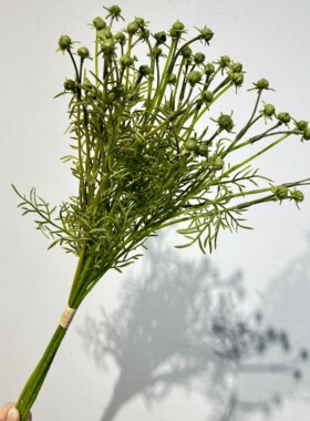 仿真把束草秋菊草文竹草仿真绿植野果子造景摆件道具清新风假花