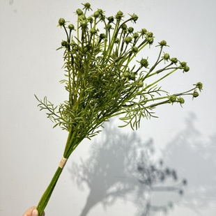 仿真把束草秋菊草文竹草仿真绿植野果子造景摆件道具清新风假花