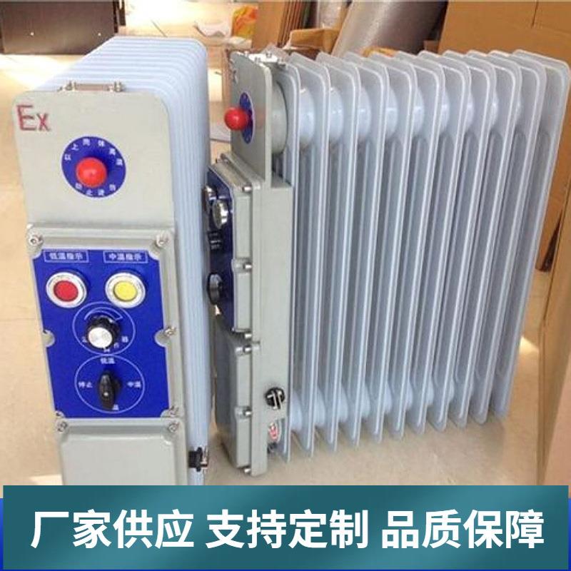 供应矿用防爆取暖器煤矿隔爆型电热取暖装置隔爆电热油汀