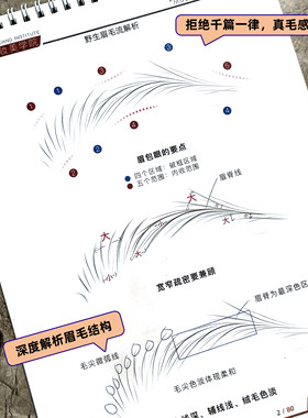 纹绣野生眉练习册零基础线条排列