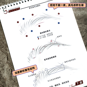 纹绣野生眉练习册零基础线条排列