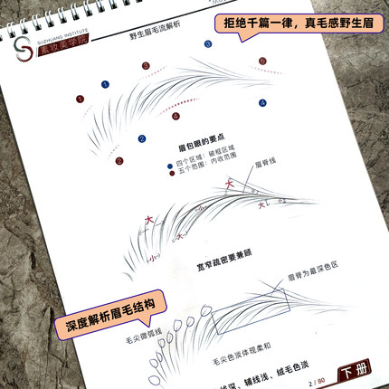 野生眉练习册纹绣初学者线条眉临摹本零基础真人脸画眉设计图纸稿