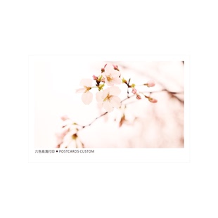 沉墨A5卡片打印大明信片来图定制烫金请柬贺卡请帖印刷个性创意礼物照片设计定做特种纸印刷售后卡制作珠光纸