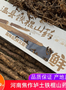 谷特怀状元温县垆土新鲜铁棍山药绿色认证现摘现发炖汤食材礼盒装