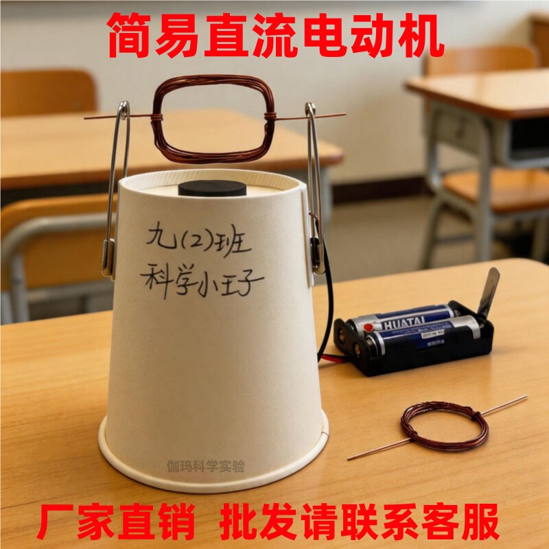 简易直流电动机科学实验器材套装图片