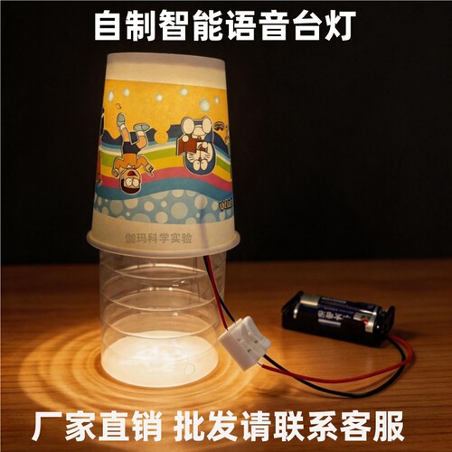 自制智能语音台灯模型科学实验