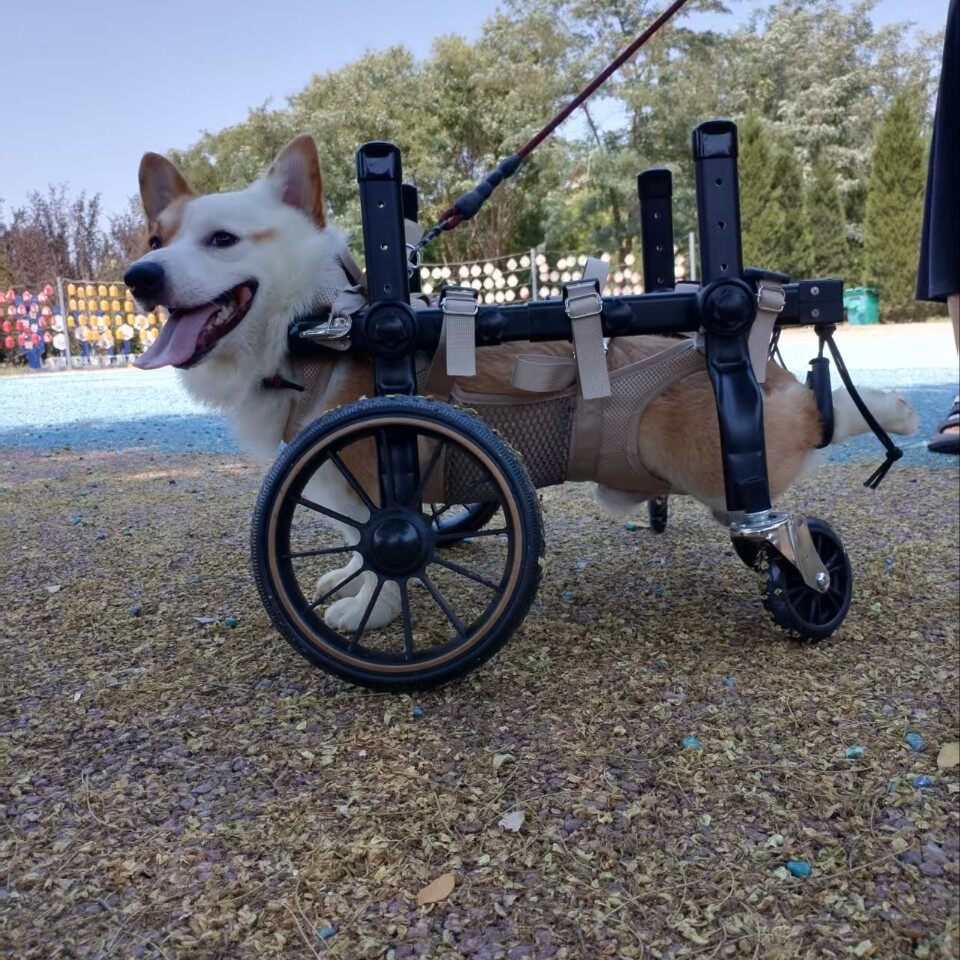狗轮椅宠物轮椅车四肢狗狗残疾训宠物推车