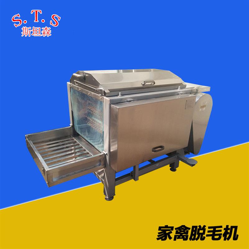 A小型全自动鸭脱毛机 每小时可处理300-400只 厂家质保直销