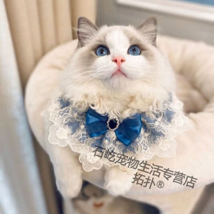 拓扑宠物口水巾猫咪脖套猫咪围巾领结饰品猫围兜围脖浅黄M--中型