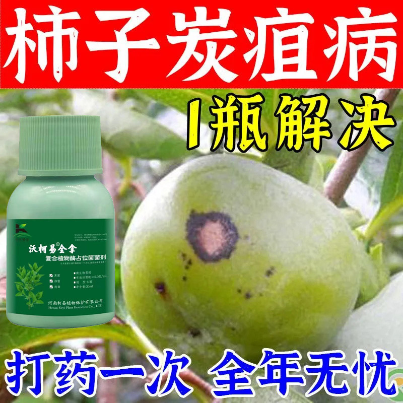 柿子炭疽病专用柿子杀菌剂柿子病全治柿子树角斑病黄叶柿疯病黑星