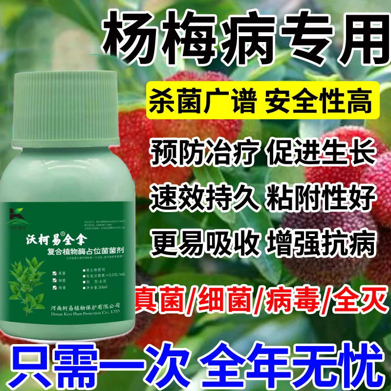 杨梅黄叶病全治杨梅专用药凋萎病枯枝病根腐病褐斑病专用杀菌剂图片