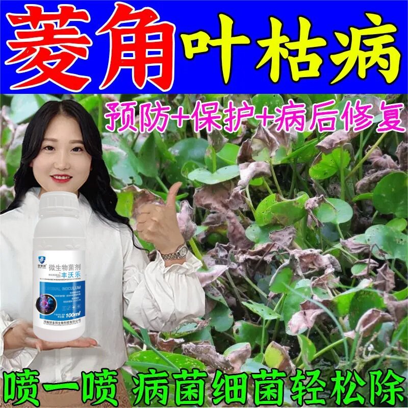菱角专用药菱角病全治白绢病褐斑病纹枯病叶片枯萎腐烂杀菌肥料