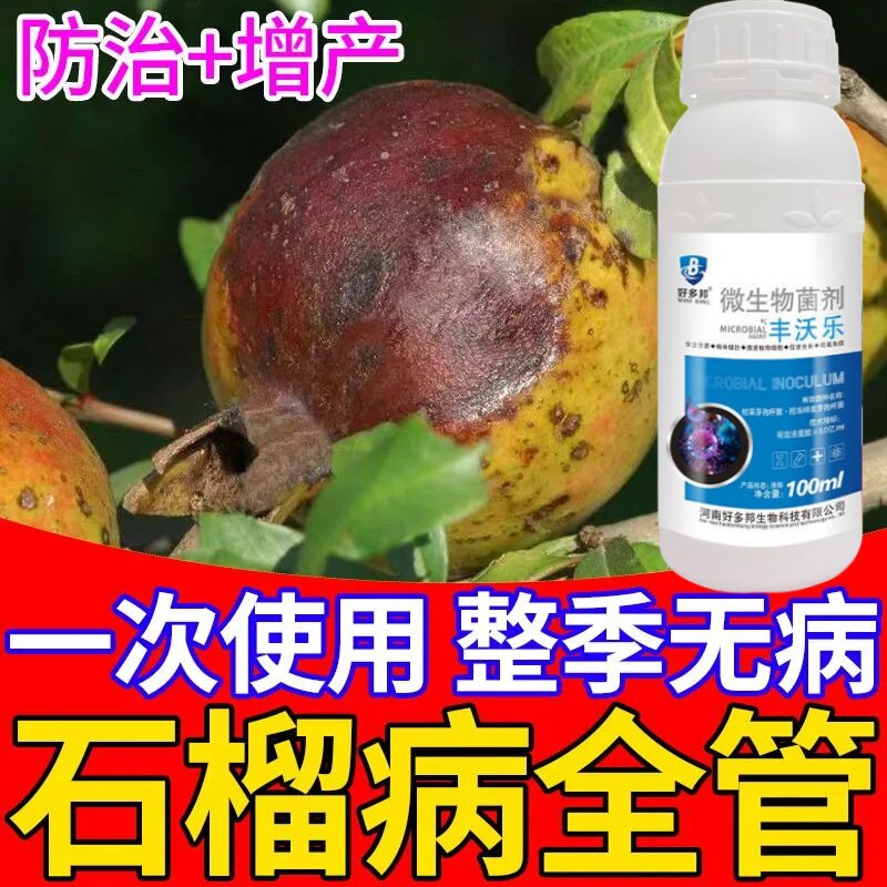 石榴病全治石榴干腐病专用药烂果药黑斑病腐皮烂根裂果专用杀菌剂