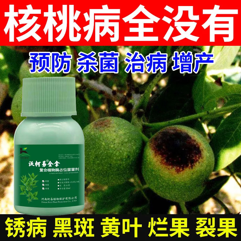 核桃树专用药核桃黑皮病褐斑病黑斑病炭疽病白粉病树腐烂病杀菌剂