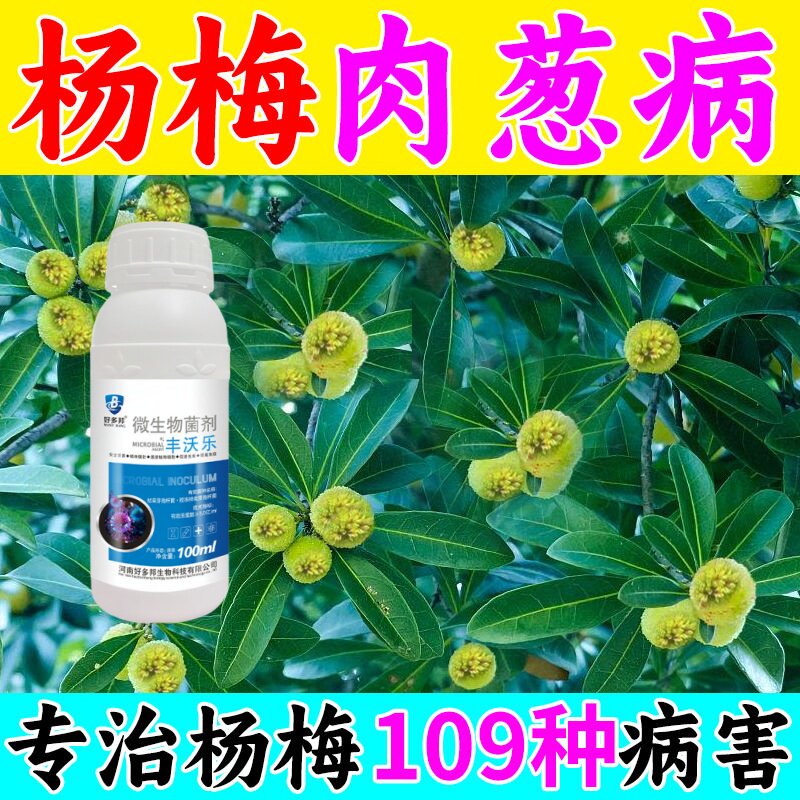 杨梅树专用药癌肿病褐斑病卷叶黄叶红斑病杨梅保花保果专用肥料