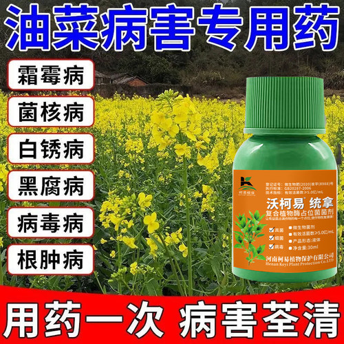 油菜病菌清油菜病全治油菜菌核病黑斑霜霉病白锈病黄叶强效杀菌剂