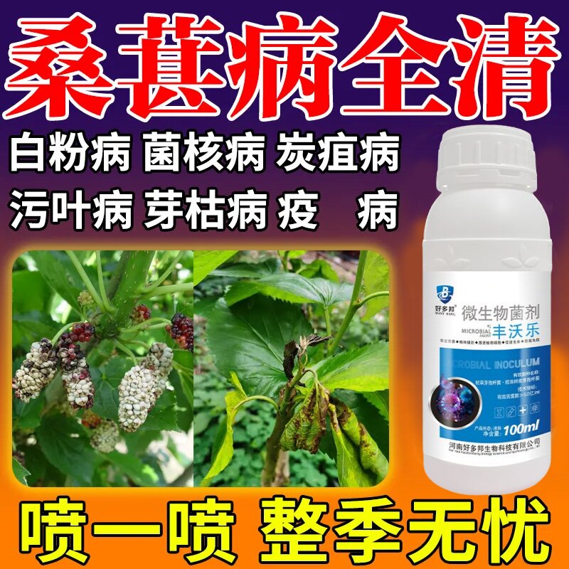 桑树病害专用桑葚病全治桑树烂头白果桑树花叶炭疽桑葚微生物菌剂