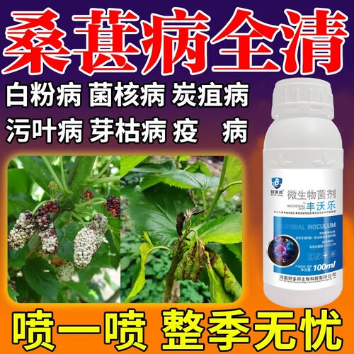 桑树病害专用桑葚病全治桑树烂头白果桑树花叶炭疽桑葚微生物菌剂
