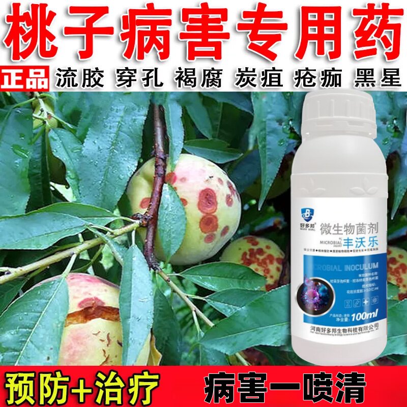 桃树病菌清桃病清桃树杀菌剂微生物菌剂肥料穿孔病流胶病缩叶病害