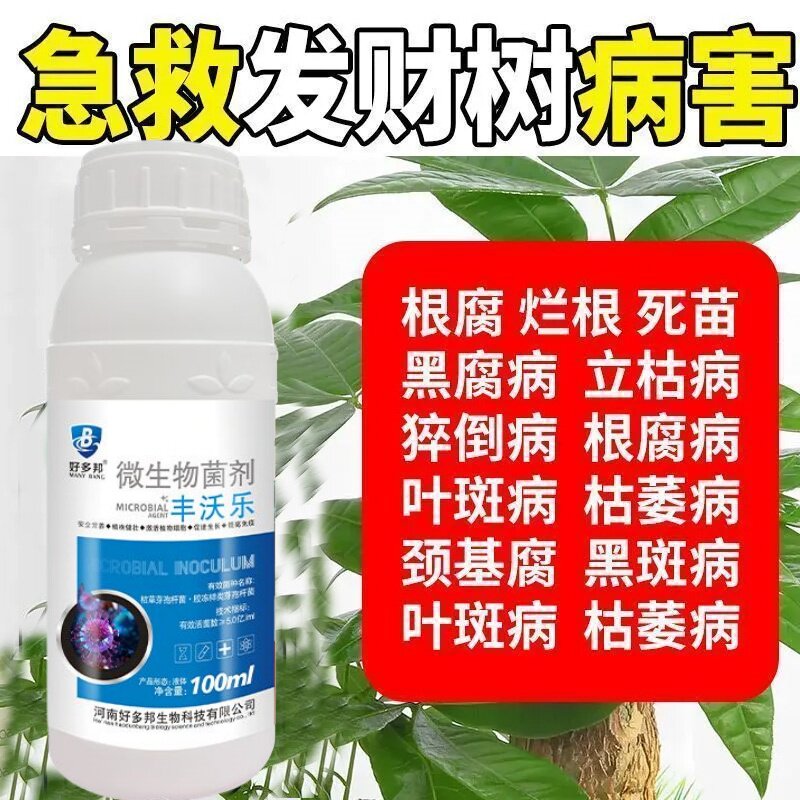 发财树复活液叶斑病专用药叶子发黄斑白斑烂根营养液杀虫剂杀菌药