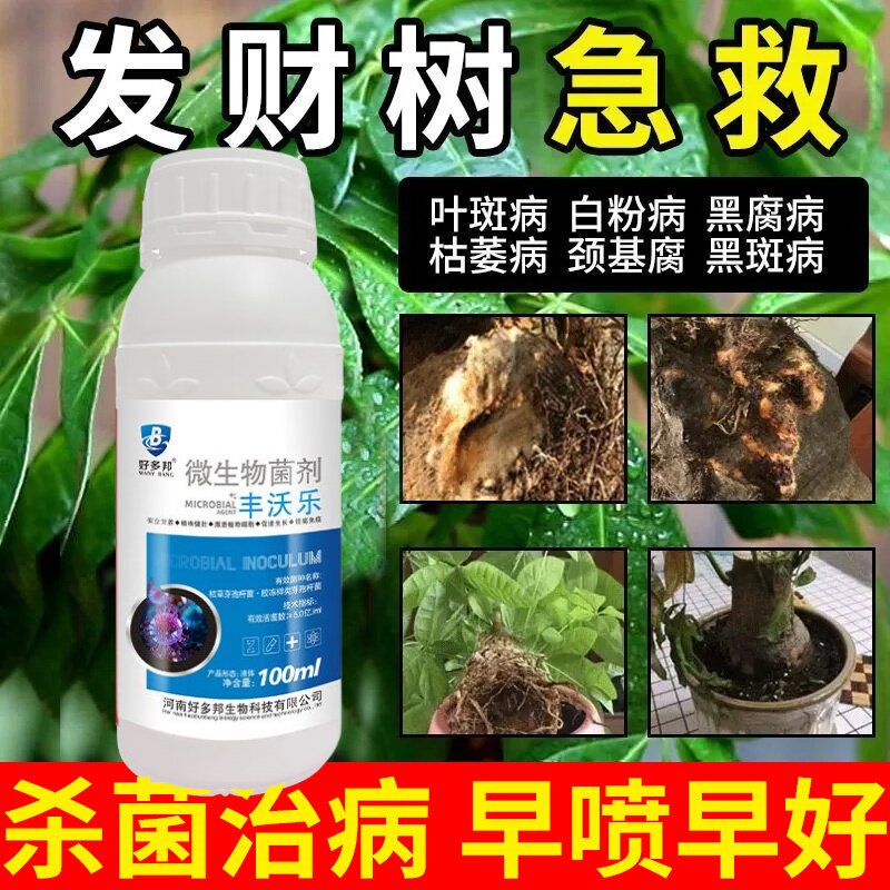 发财树叶斑病专用药杀菌剂叶子发黄斑白斑药水营养液肥料专用肥