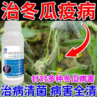 冬瓜专用药冬瓜病全治疫病白粉病病毒病绵腐病抗病增产膨大专用药