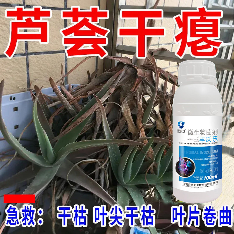 芦荟病全管专用药芦荟营养液花卉生长液通用治黄叶软腐促发芽肥料