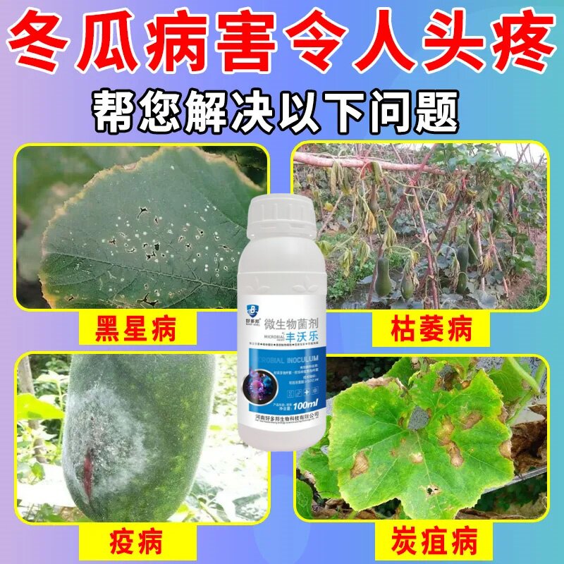 冬瓜杀菌剂冬瓜病全治专用杀菌药全杀炭疽病褐斑病烟煤病白粉病