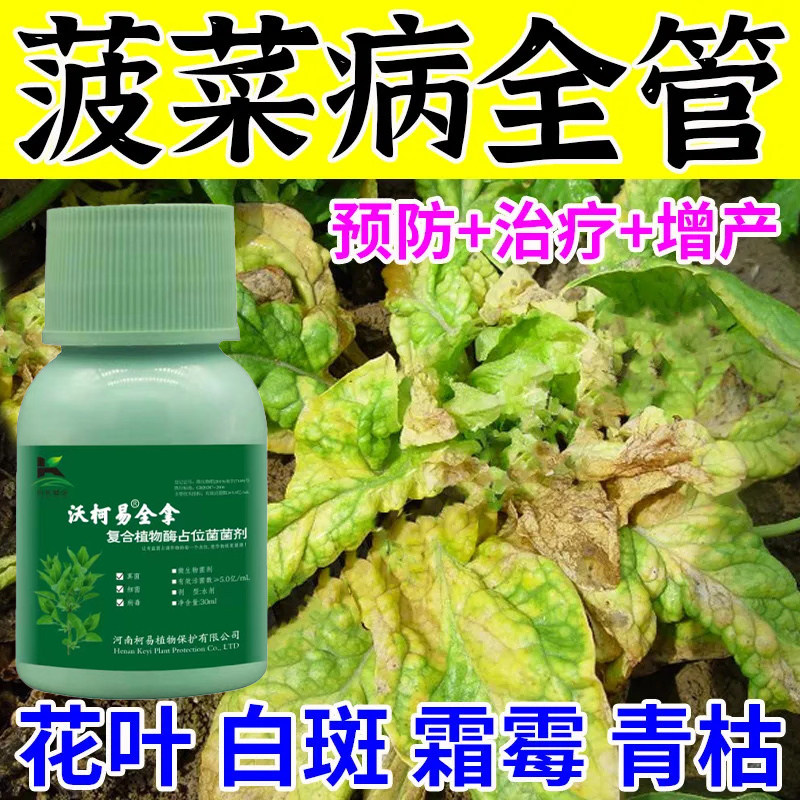菠菜专用菌剂霜霉炭疽病黑腐病心腐病专用菠菜无病害菠菜病害专用
