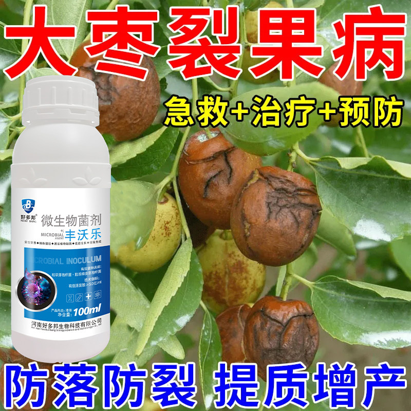 枣树病全治黄化黄叶掉叶卷叶枣树疯病小叶枣疯病叶斑病炭疽专用药
