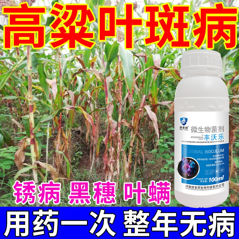 高粱专用杀菌剂高粱病全治急救黑穗病红叶病大斑病斑点烟煤病荃清