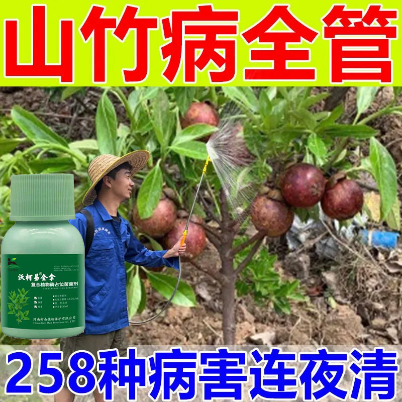 山竹百菌清正品黄叶死苗一喷绿微生物菌剂肥料黄叶卷叶病害通治